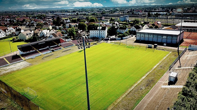 E组的每支 E组的每支