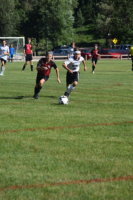 字母哥在场 字母哥在场