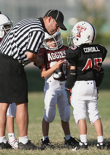 福登和阿尔 福登和阿尔